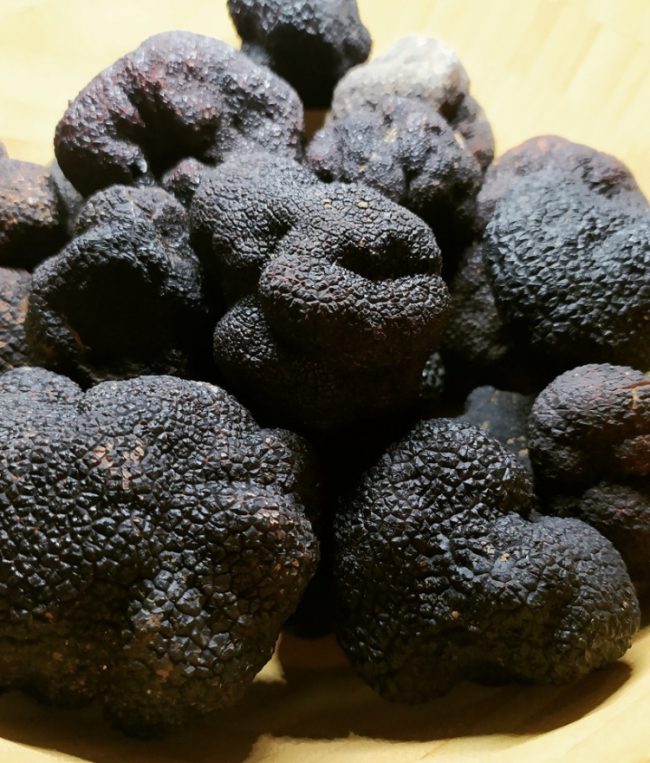 trufa fresca negra maestrazgo