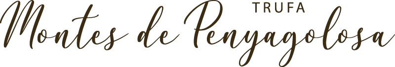 logo main