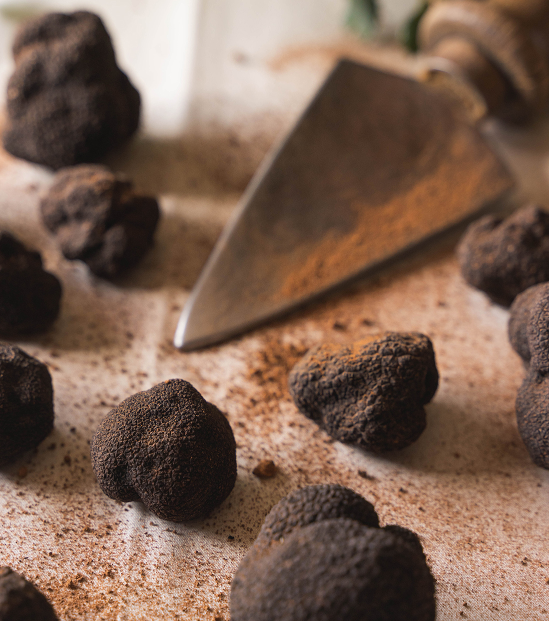 trufa negra online trufas negras sobre mantel blanco