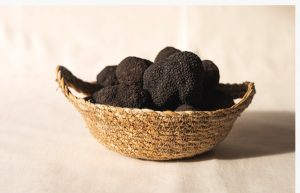 Comprar trufa fresca melanosporum